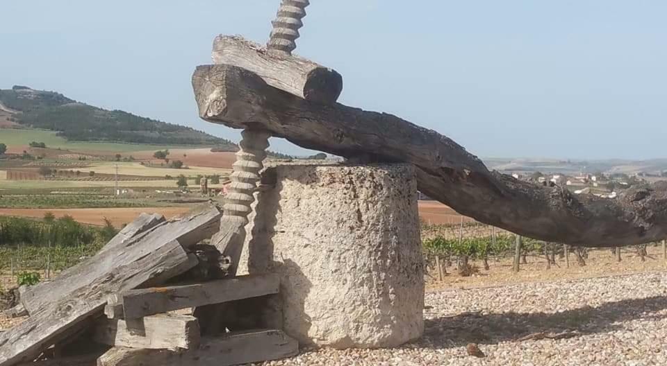La Verdevilla Anguix