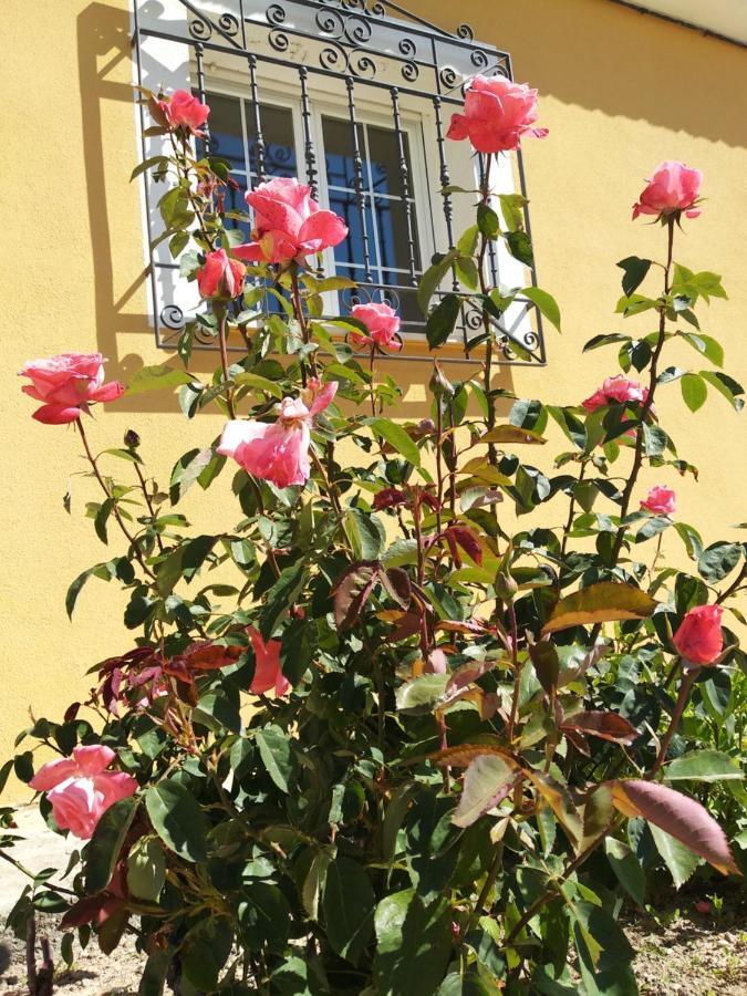La Verdevilla Country house